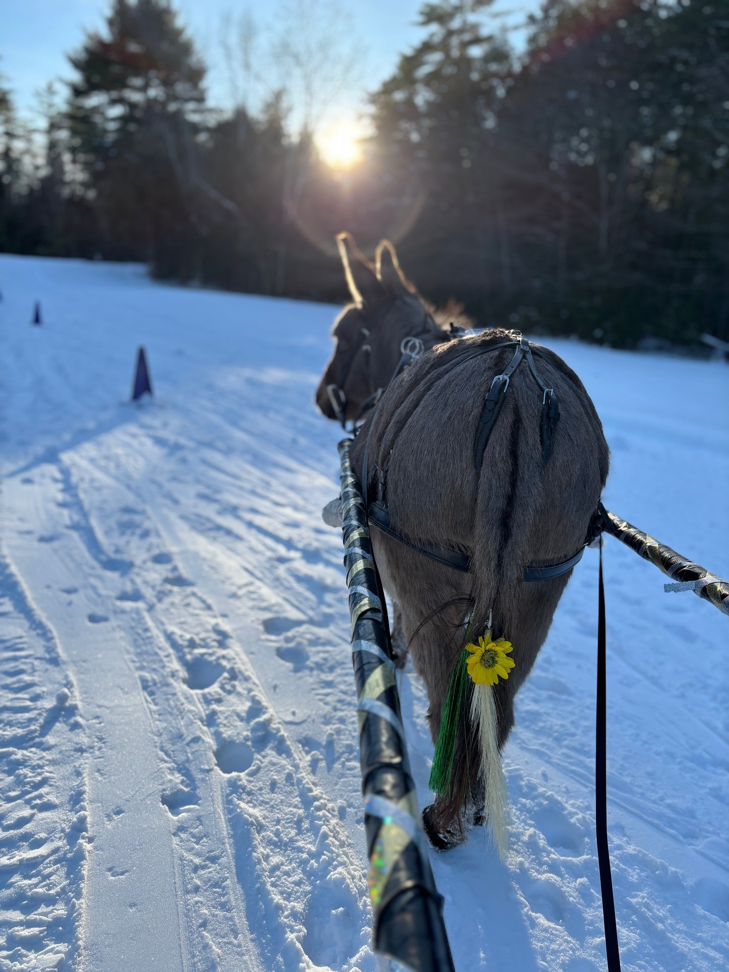 Clip In Pony Fairy Hair