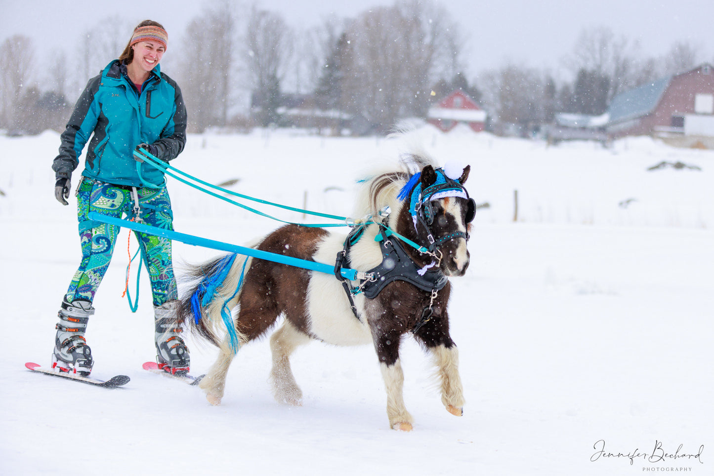 Clip In Pony Fairy Hair