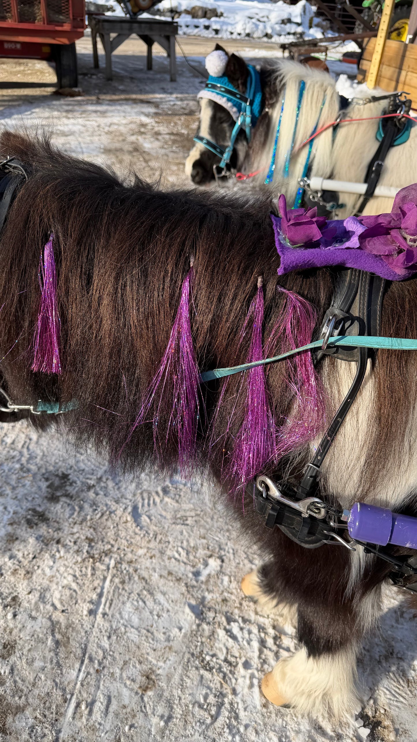 Clip In Pony Fairy Hair