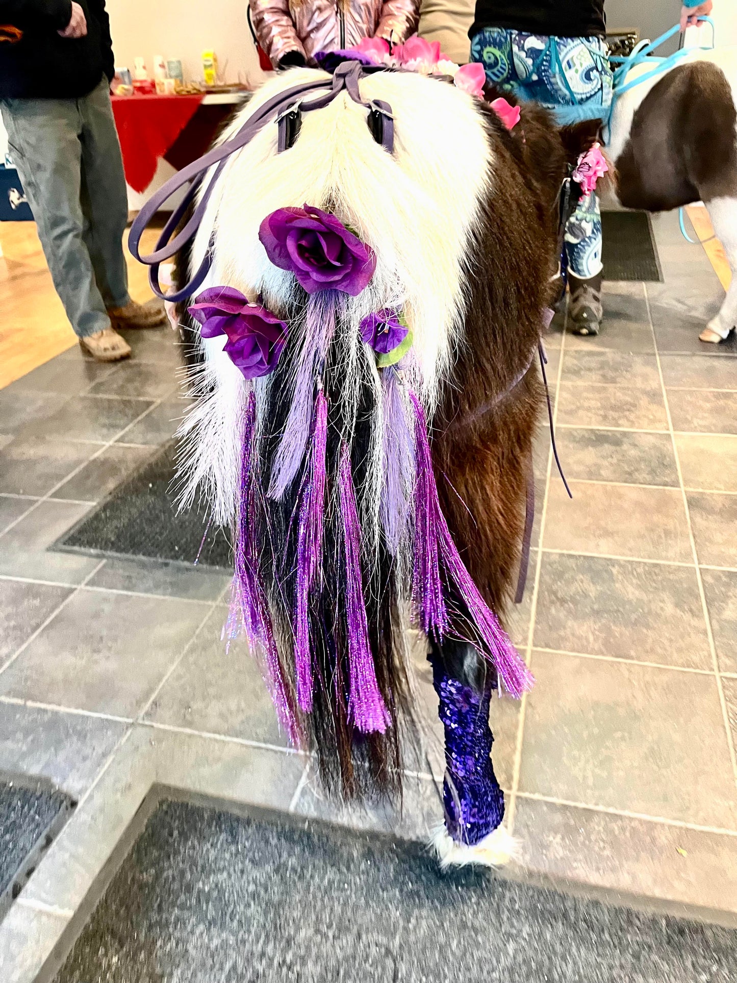 Clip In Pony Fairy Hair