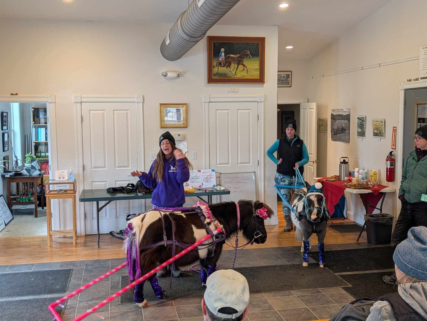 In-Person Mini Equine Skijoring Workshop - 2/1/2026 (Maine)