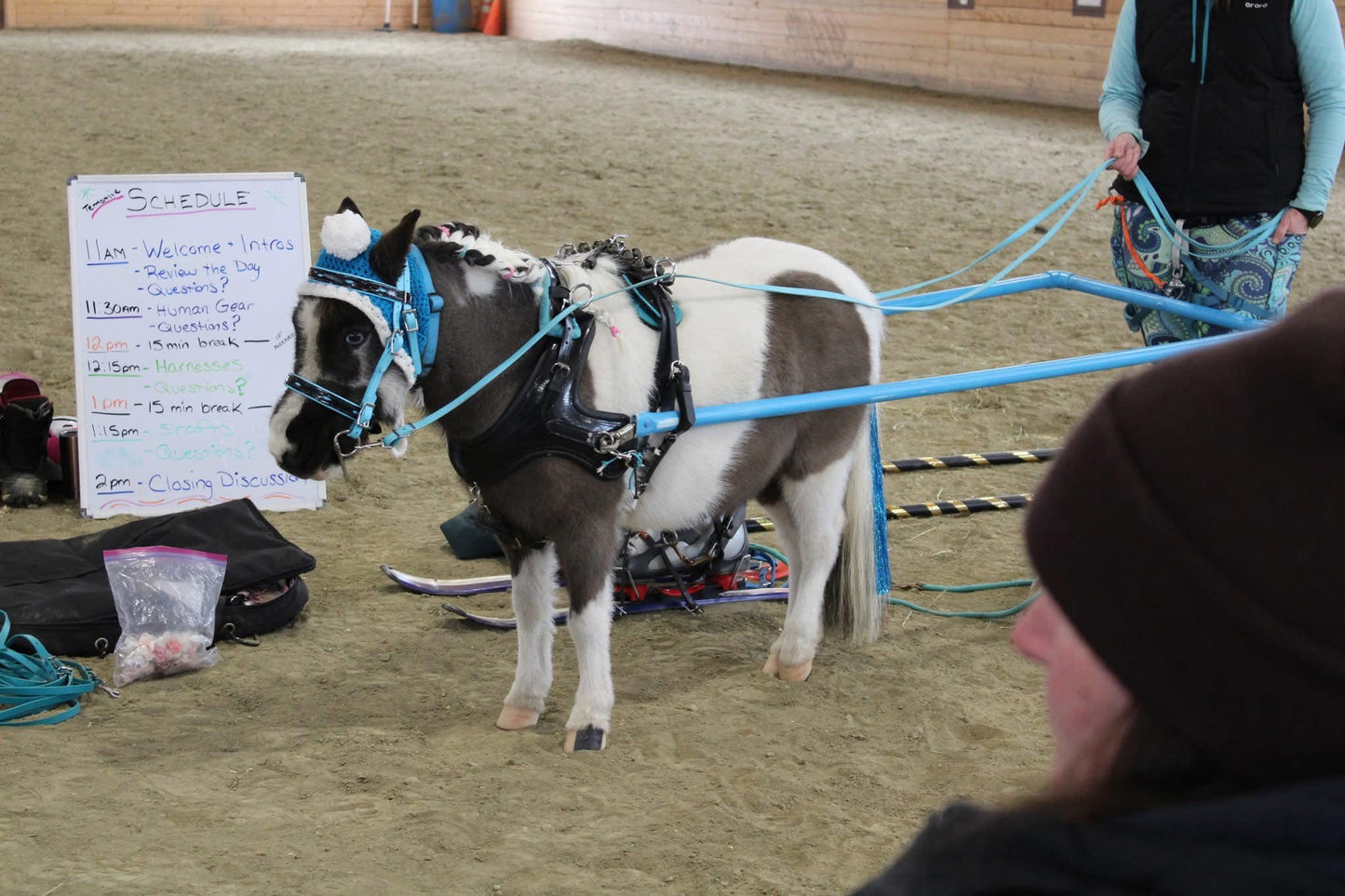 In-Person Mini Equine Skijoring Workshop - 2/1/2026 (Maine)