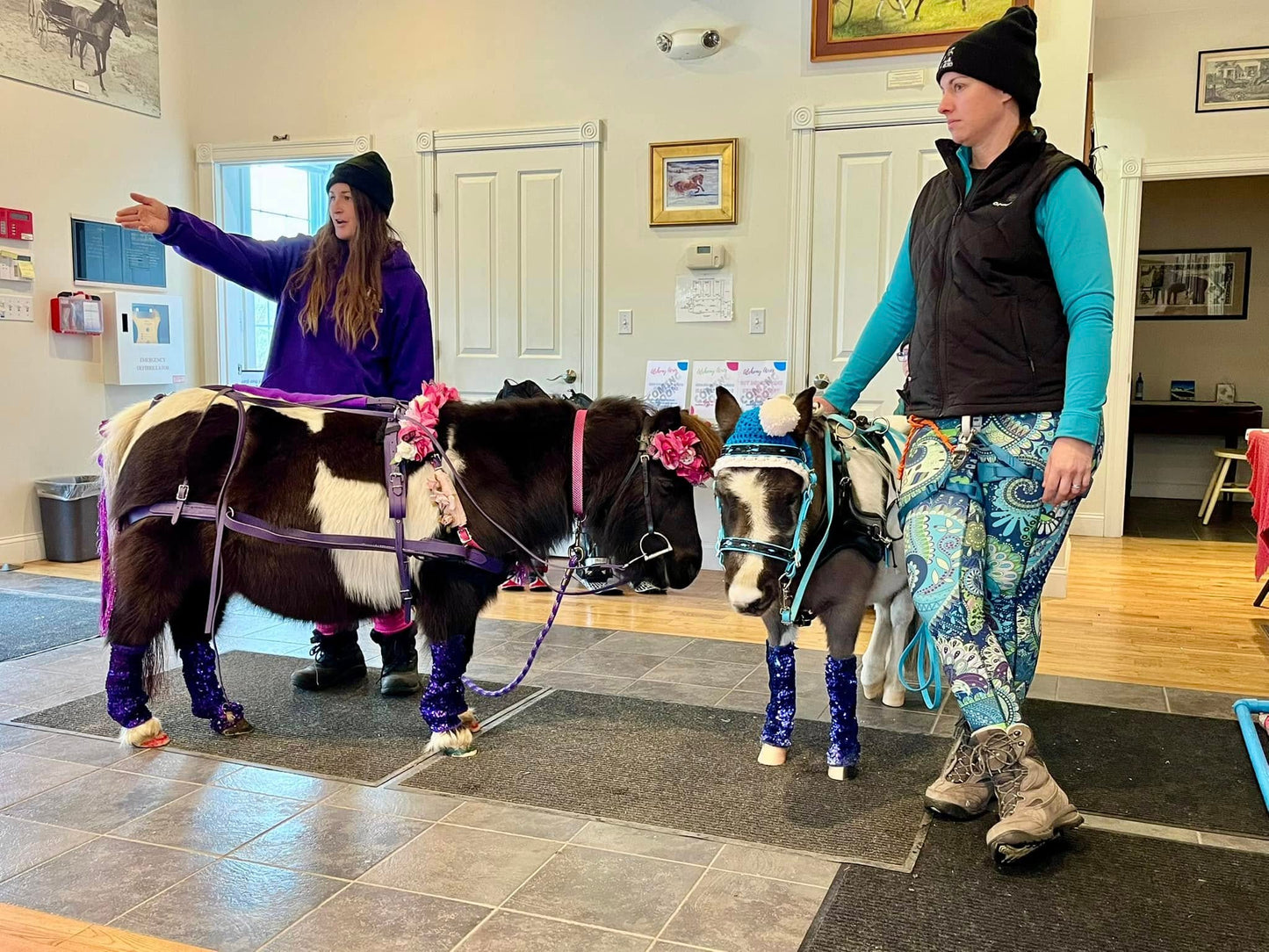 In-Person Mini Equine Skijoring Workshop - 2/1/2026 (Maine)