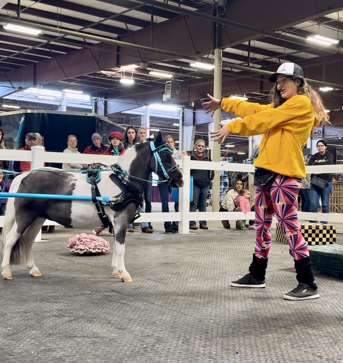 In-Person Mini Equine Skijoring Workshop - 2/1/2026 (Maine)